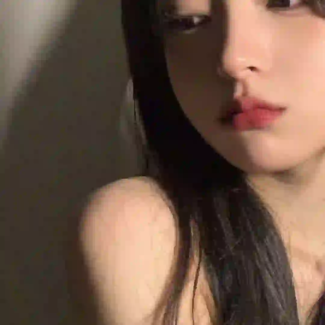 鸢的头像