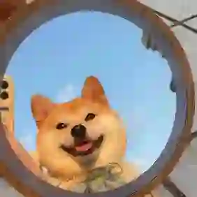 小李在忙钱的头像