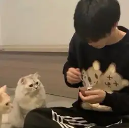西北玄天一朵云的头像