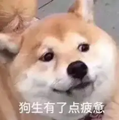 墨染青衣的头像