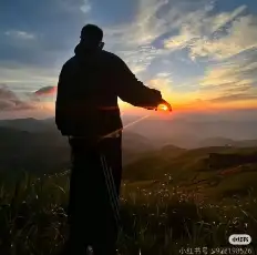 权游粉的头像