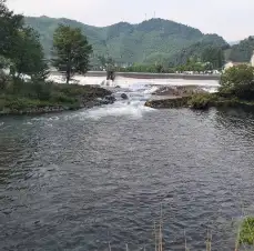 奔赴山海的头像