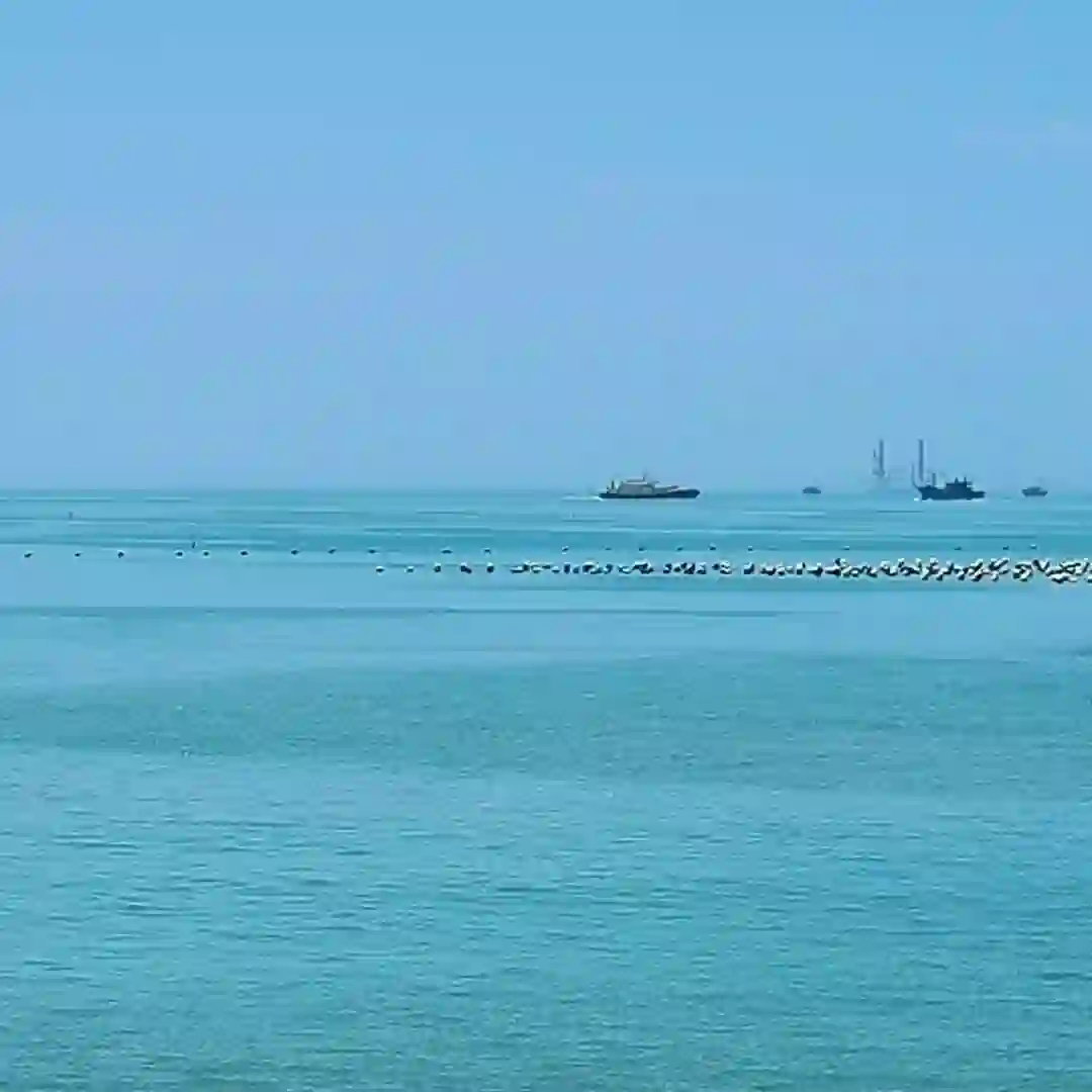 听海的头像