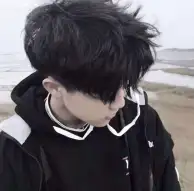 算法狗的头像