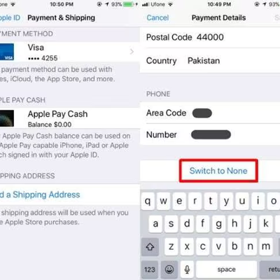 iPhone 付款方式设置界面 None 选项