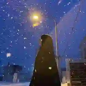 梅姐的头像
