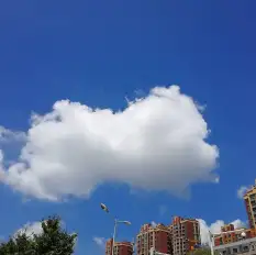 海淘的头像