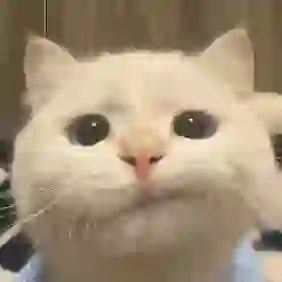 Coke的头像