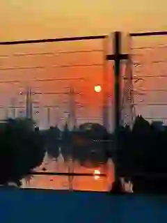 稀里糊涂的头像