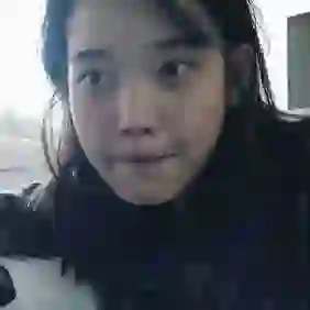 会飞的老母猪的头像