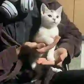 里余的头像