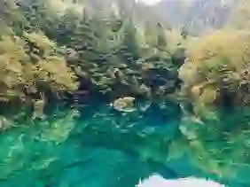 家天下的头像