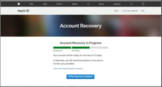Apple ID 账户恢复页面