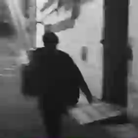 菠萝橙的头像