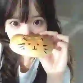 小猪啾咪的头像