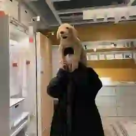 登高的头像
