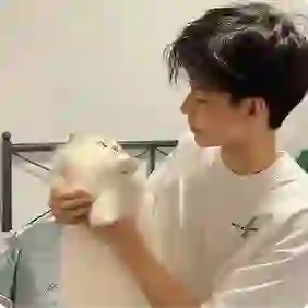 志的头像