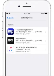 App Store 订阅列表