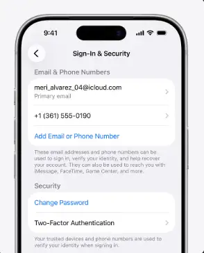 iPhone登录与安全性设置页面