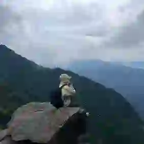 禅的头像