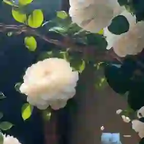 贵阳市健身器材批发的头像