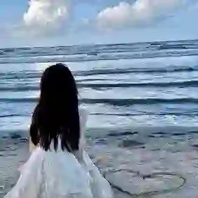 Z字的头像