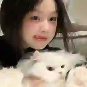 icyi的头像
