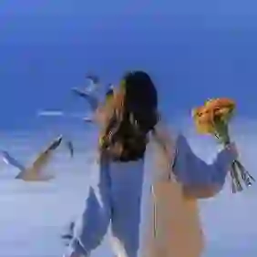 天际流霞的头像
