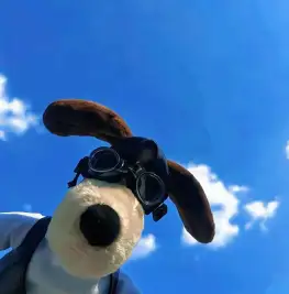 晚睡选手的头像