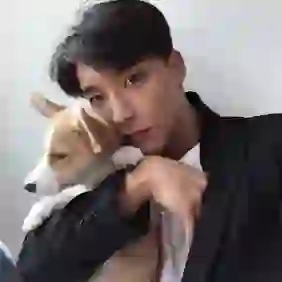 哪有容易的头像